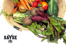 Savse Smoothies