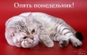 Понедельник – день тяжелый.